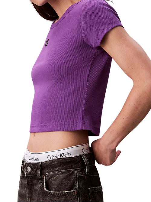 T-shirt in cotone viola Calvin Klein Jeans | LV047C200GWFX